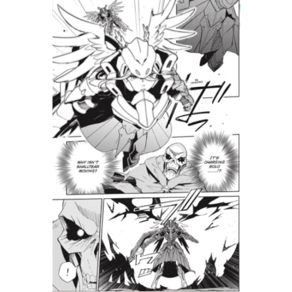 Manga: Overlord Vol. 5