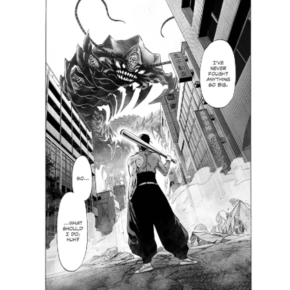 Manga: One-Punch Man Vol. 11