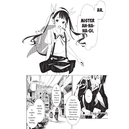 Manga: Bakemonogatari Vol. 4