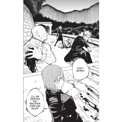 Manga: Jujutsu Kaisen, Vol. 8