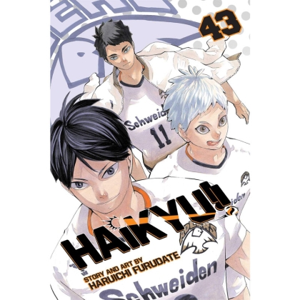 Manga: Haikyu Vol. 43