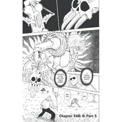 Manga: Hunter x Hunter, Vol. 24
