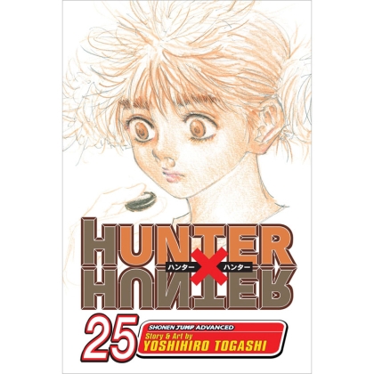 Manga: Hunter x Hunter, Vol. 15