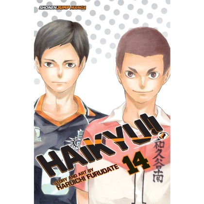 Manga: Haikyu Vol. 14