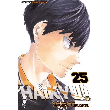 Manga: Haikyu Vol. 25