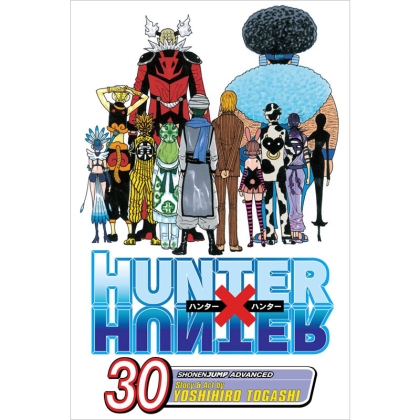 Manga: Hunter x Hunter, Vol. 30