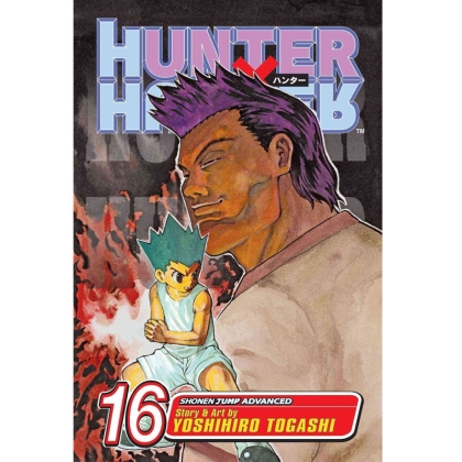 Manga: Hunter x Hunter, Vol. 16