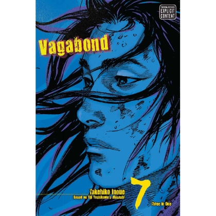 Manga: Vagabond vol. 7