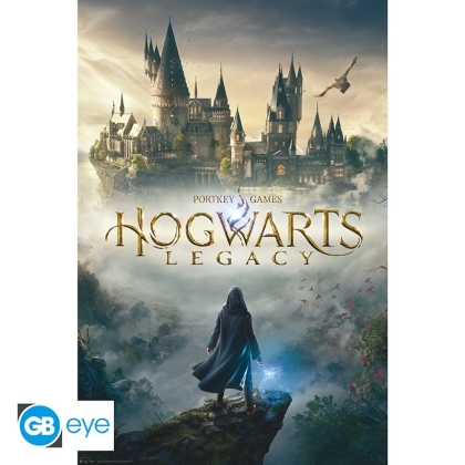 Harry Potter - Poster Maxi 91.5x61 - Hogwarts Legacy Key Art