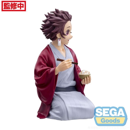 Demon Slayer: Kimetsu no Yaiba PVC Statue Tanjiro Kamado 14 cm