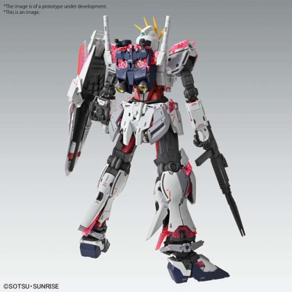 (MG) Gundam Model Kit - Narrative Gundam C-Packs Ver. Ka 1/100