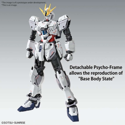 (MG) Gundam Model Kit - Narrative Gundam C-Packs Ver. Ka 1/100