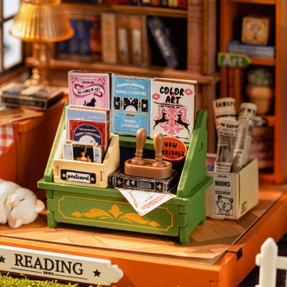 Robotime DIY Model Kit - The Muse Bookshop